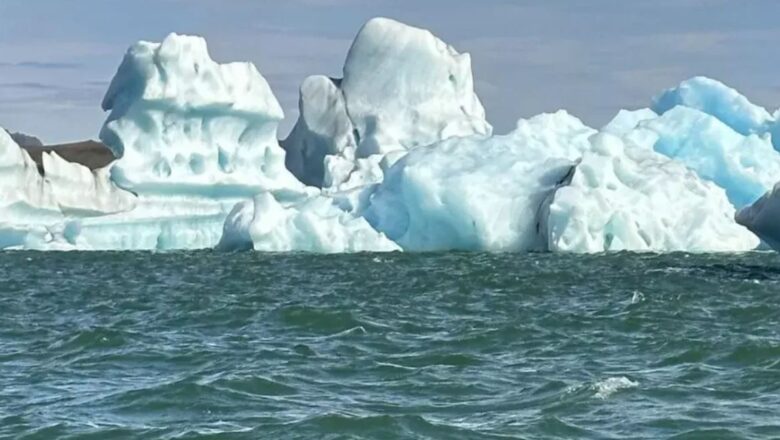 Dutch Startup’s Ambitious Plan to Restore Arctic Sea Ice Using Skating Rink Technology