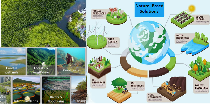 Climate Mitigation through Nature-Based Solutions (NBS)