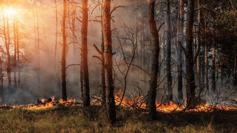 UK Peatland Fires Set to Surge, Emissions Could Jump 60% with 2°C Warming