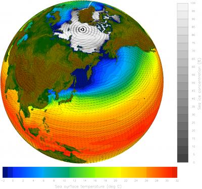 UNFCCC Report: Developing Nations Require Up to $6.85 Trillion for Climate Goals by 2030