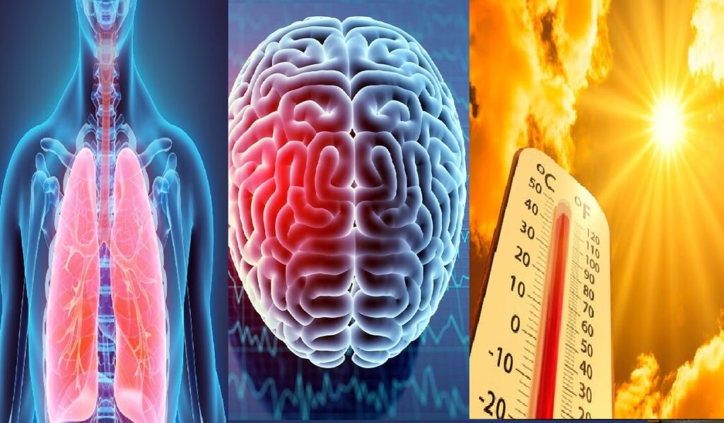 Heatwave Vs Human Body:  How Heatwaves Affect the Human Body and Mind