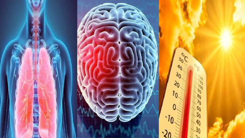 Heatwave Vs Human Body:  How Heatwaves Affect the Human Body and Mind