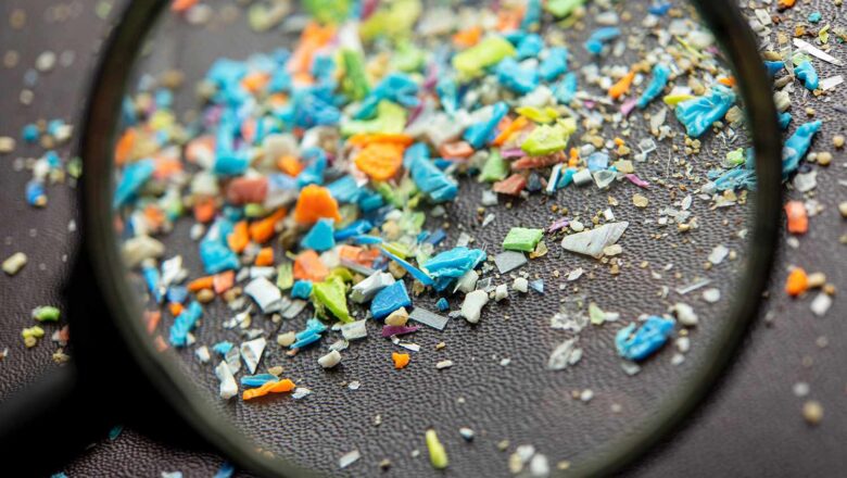 Study Links Microplastics to Urinary Tract Health Risks, Urges Global Action