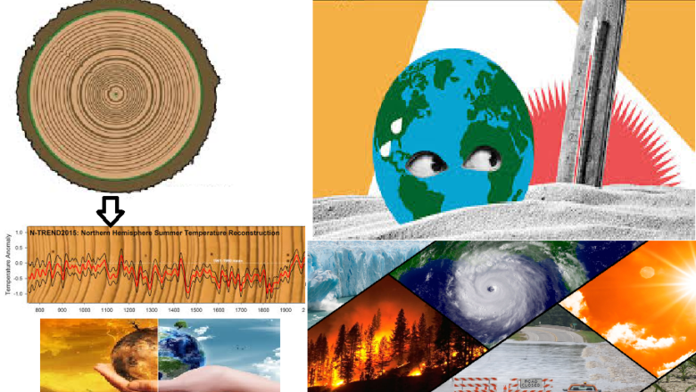 Tree Ring Data Reveals 2023 as Hottest Northern Hemisphere Summer in 2,000 Years