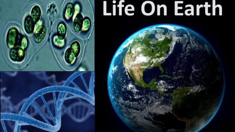 New Study Reveals Ancient Origins of LUCA Early Life on Earth