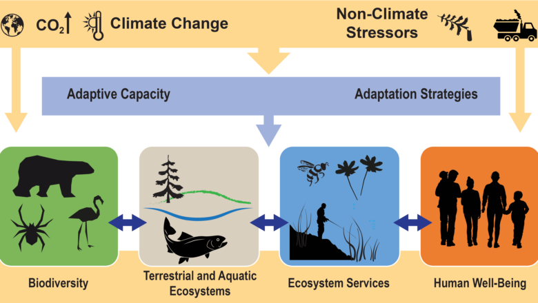 New Data Shows Climate Adaptation Urgent as Cities Face Rising Hazards Amid Warming