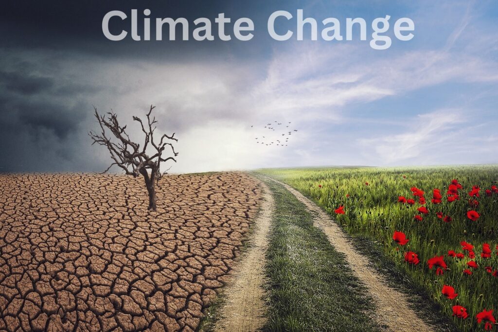 WMO Launches Climate Services Dashboard to Boost Global Climate Action