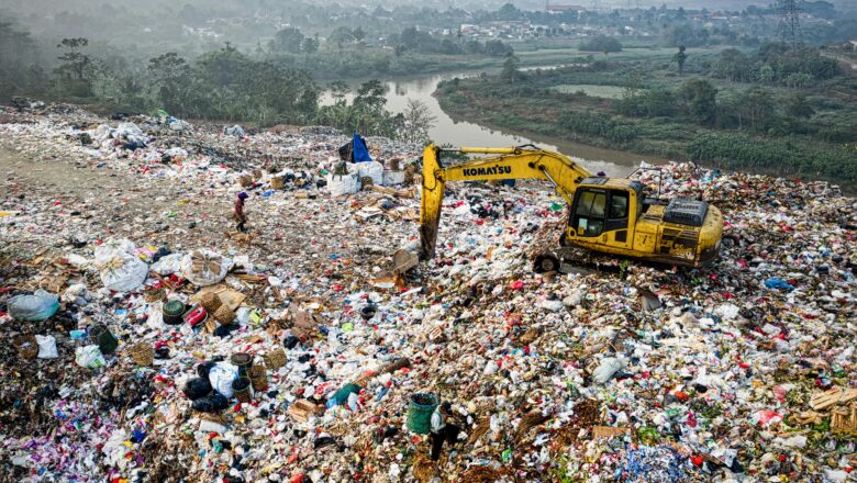 Kenyan Lesser Mealworm Larvae Show Promise in Plastic Degradation, Offering New Hope for Pollution Control