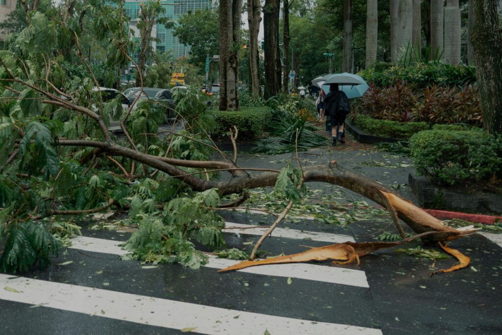 Fujitsu, Yokohama Univ Predict Typhoon Tornadoes Using Supercomputer