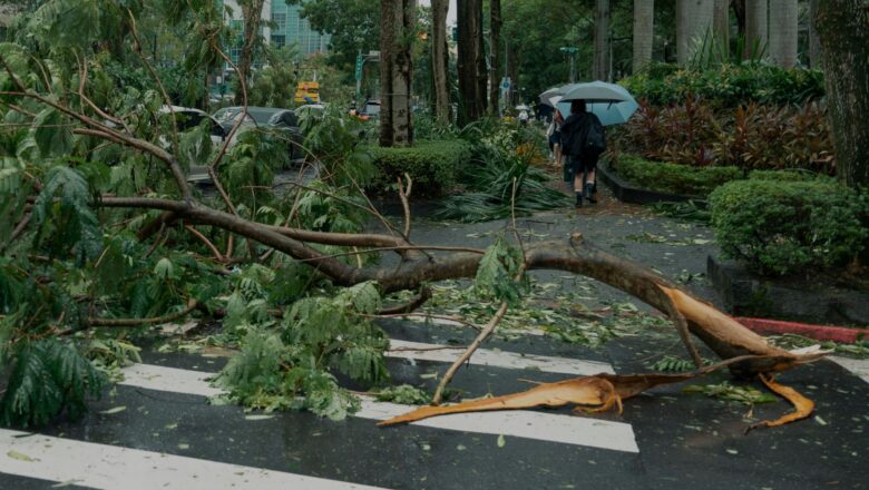 China Researchers Introduce New Model For Typhoon Forecasting Accuracy