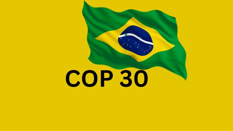 Brazil Prepares for COP30: Ambassador Andre Correa do Lago Takes the Helm Amid Challenges