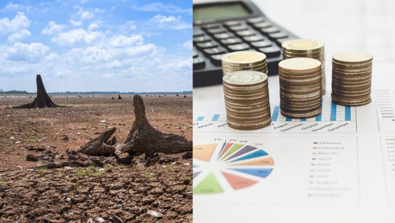 Public Investment in Climate Finance & Care Services Essential for Adaptation