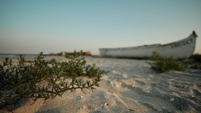 The Sea That Vanished: The Tragic Fall of the Aral Sea