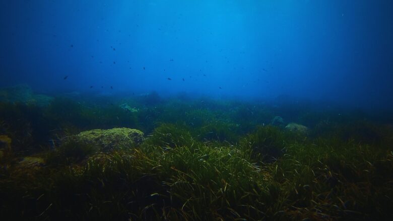 UK Scientists to Probe Deep Sea’s ‘Dark Oxygen,’ A Discovery That Could Redefine Life’s Origins