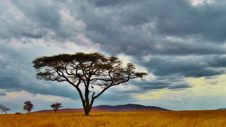 Africa Faces Climate Crisis as Warming Threatens Burn Agriculture