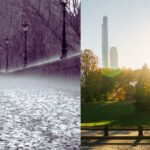 IMD Forecast: Intense Heat, Torrential Rains and Monsoon Progress in Coming Days