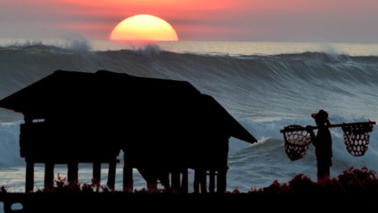 As Seas Rise Farmers Face a Choice: Stay, Adapt or Move Global DYNAMO-M Model Reveals Future of Coastal Agriculture