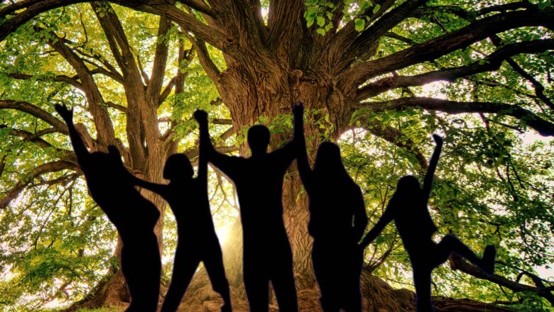 More Trees, Fewer Deaths: Study Finds Urban Greening Could Save Over 1 Million Lives