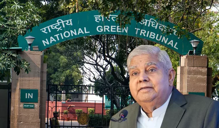 National Green Tribunal Honnavar Port Verdict Sparks Fears of Weakening India Environmental Laws