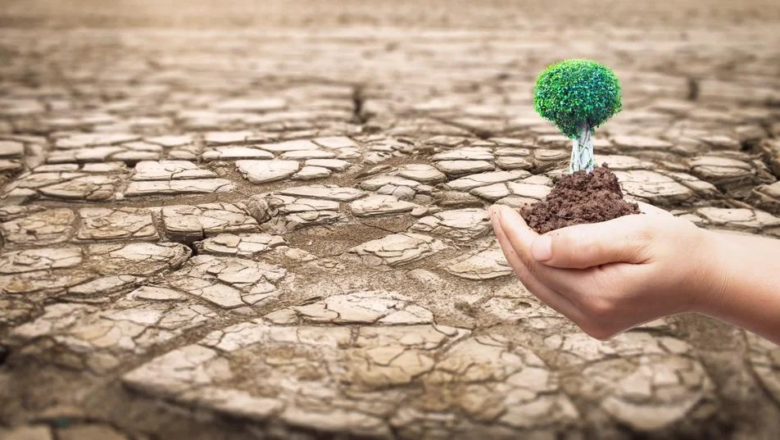 Pakistan Fight Against Drought: Smarter Water Use and Tech Innovation Show New Hope for Vulnerable Communities