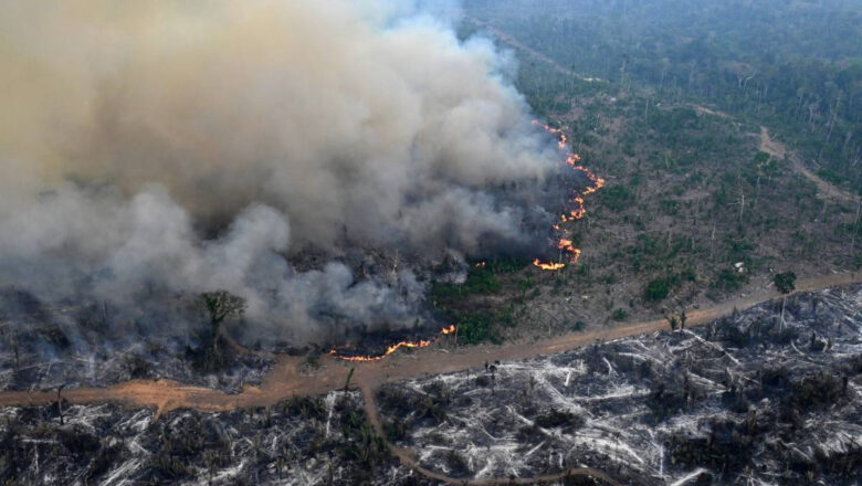 Brazil Worst Fire Year on Record 62% of Pantanal Burnt as Climate Change