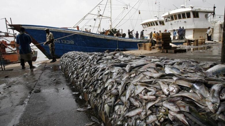 UN Ocean Meet Falls Short: Coastal Crisis Deepens, Funding Gaps Persist