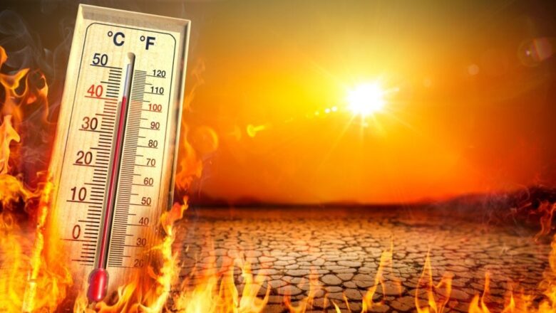 Delhi Feels Like 49°C as Humidity Intensifies Heat Discomfort, Despite Onset of Monsoon