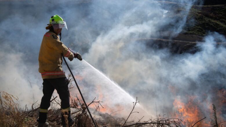 New Zealand Sends Fire Experts to Support Canada Battle Against Record Wildfires