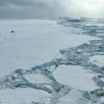 Antarctica Ocean Turns Salty as Ice Vanishes, Triggering Global Climate Alarms