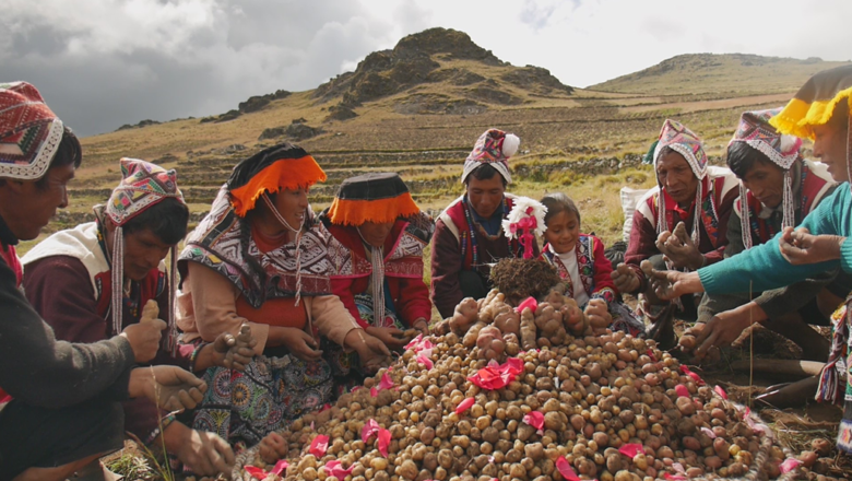 Ancient African Food Systems Hold Key Lessons for Climate-Resilient Futures