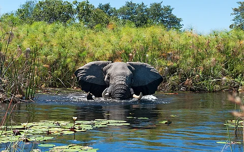 World Must Urgently Scale Up Wetland Investments to Avoid Irreversible Loss: Global Wetland Outlook 2025