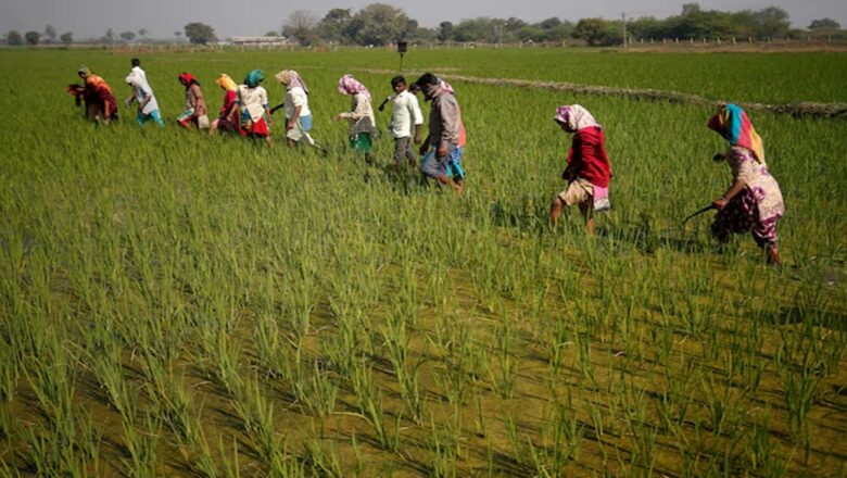 UP First in India to Prepay Carbon Credits to Farmers, Boosting Green Income Drive