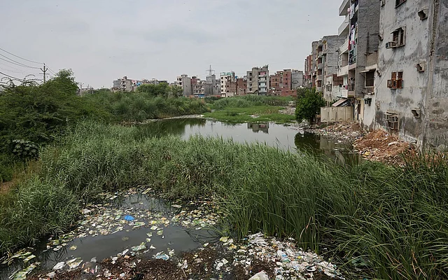 As World Prepares for Ramsar COP15, Delhi Jharoda Wetland Lies in Ruins