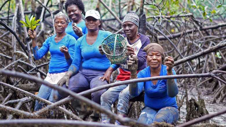 Afro-descendant lands slash deforestation by 55%, emerge as vital allies in climate fight