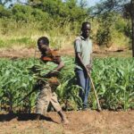 Africa Farmers Are Fighting Climate Change But Global Funding Must Catch Up