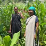 Meghalaya Faces Sharpest Rainfall Deficit in India, Raising Alarms for Farmers and Biodiversity