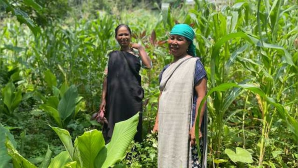 Meghalaya Faces Sharpest Rainfall Deficit in India, Raising Alarms for Farmers and Biodiversity