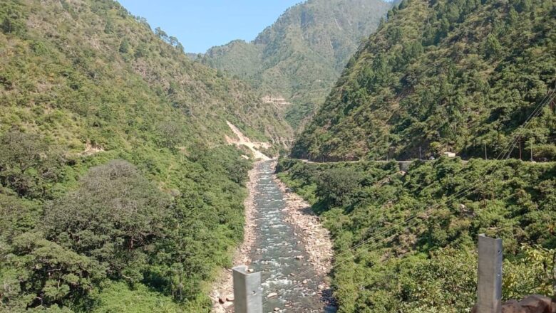 India Adds 93.7 Lakh Hectares of Green Cover in Five Years, Led by States and Public Campaigns