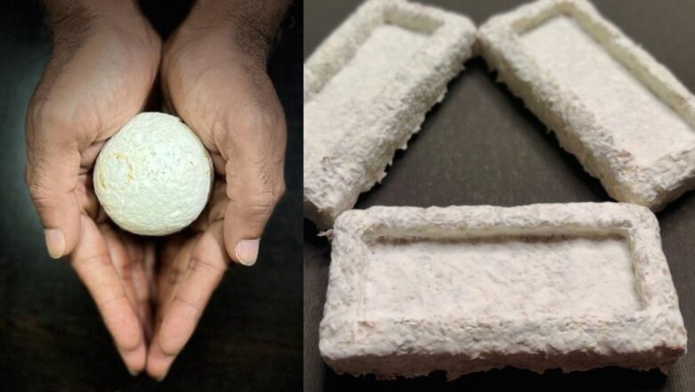 IIT Madras Innovates Eco-Friendly Packaging from Agri Waste to Replace Plastic
