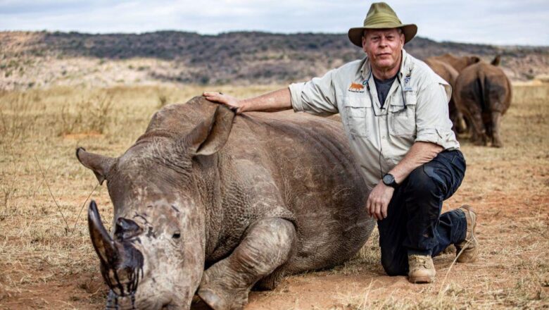 South Africa Deploys Nuclear Science to Fight Rhino Poaching in World-First Conservation Move