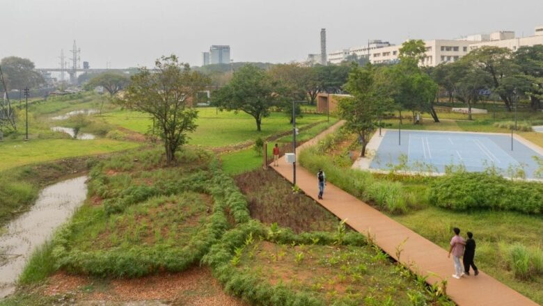 Porur Sponge Park Shows How Chennai Can Tackle Floods and Reclaim Wetlands