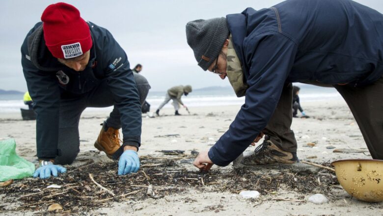 Lancet Flags Long-Term Health Threat from Microplastics Amid Treaty Talks