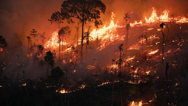 Fires Leave Lasting Scars: Burned Amazon Forests Remain Hot Struggle to Recover