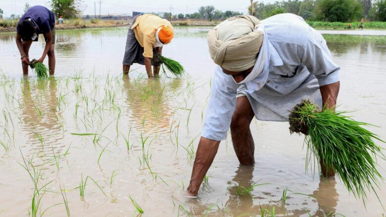1 in 3 Groundwater Samples in Punjab Contaminated with Uranium