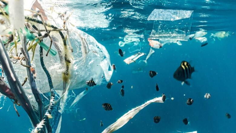 South Africa Moves to Ban Plastic Microbeads, Citing Threats to Oceans, Wildlife, and Human Health