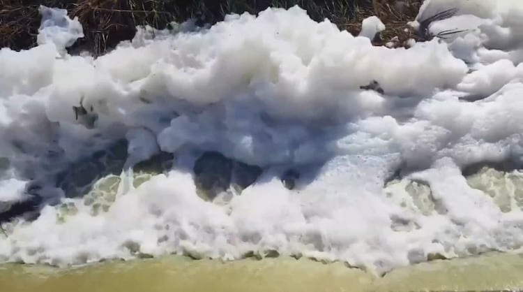 Foam Covers Palar River, Residents Blame Tanneries for Pollution