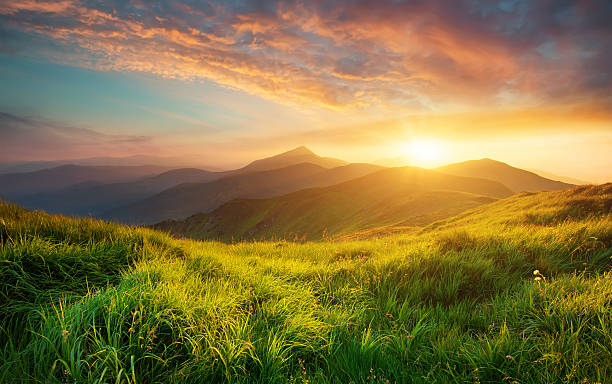 Study finds people’s connection to nature has dropped 60% in 200 years