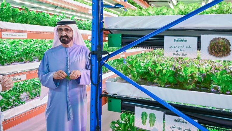 Dubai Can Revive Domestic Food Production for a Sustainable Future