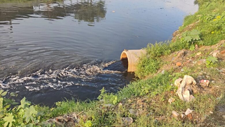 NGT Petition Seeks Clean-Up of Punjab Five Lifeline Rivers