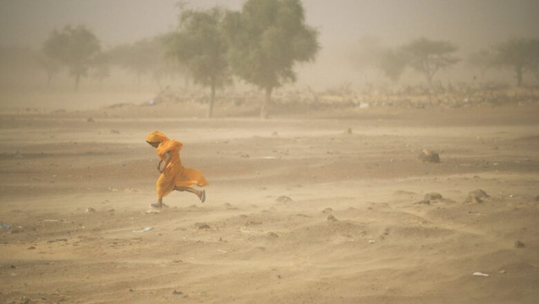 Global Food System Reforms Spare Land Larger Than Africa